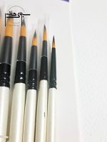 قلمو چیتا سایز ۱ تا ۱۲